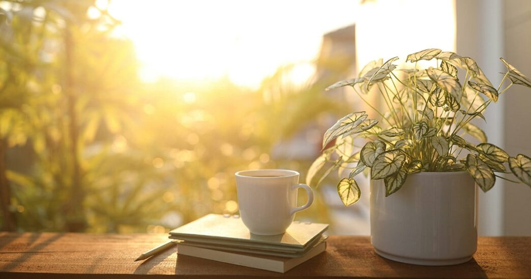 Live Simply: 10 Lessons for a Lighter Life