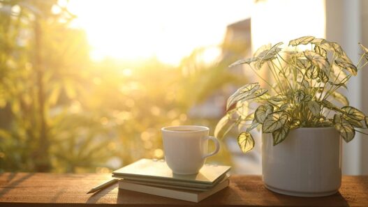 Live Simply: 10 Lessons for a Lighter Life