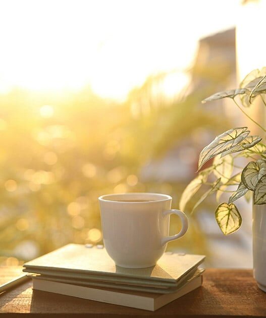 Live Simply: 10 Lessons for a Lighter Life