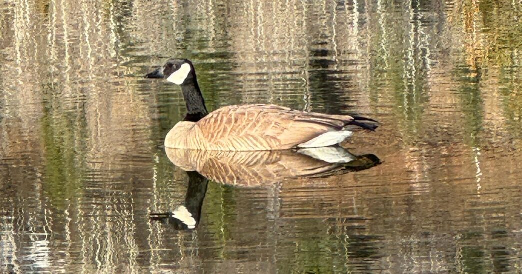 Weekend Favorites: habits of emotionally mature people + 3 second decluttering