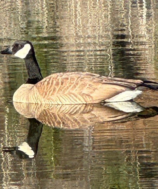 Weekend Favorites: habits of emotionally mature people + 3 second decluttering