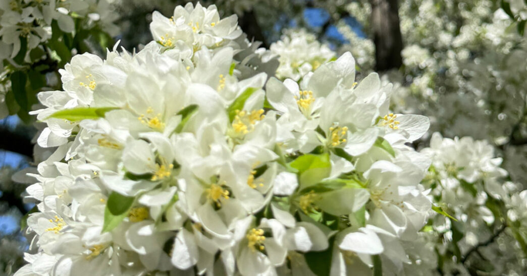 Weekend Favorites: taking love to the stars + best decluttering tips