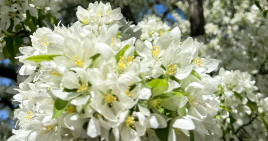 Weekend Favorites: taking love to the stars + best decluttering tips