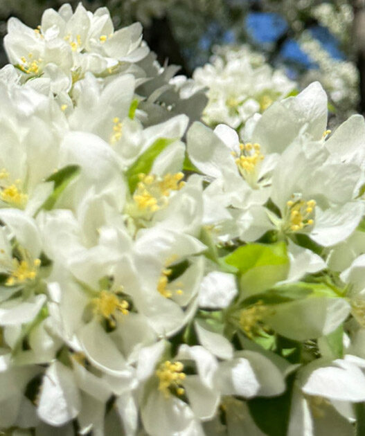 Weekend Favorites: taking love to the stars + best decluttering tips