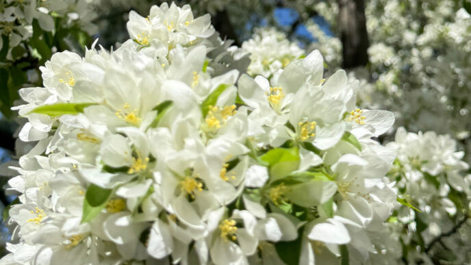 Weekend Favorites: taking love to the stars + best decluttering tips