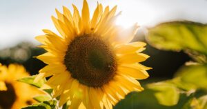How To Be Happy: 15 Practical Secrets To Happiness