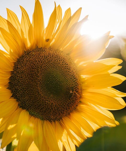 How To Be Happy: 15 Practical Secrets To Happiness