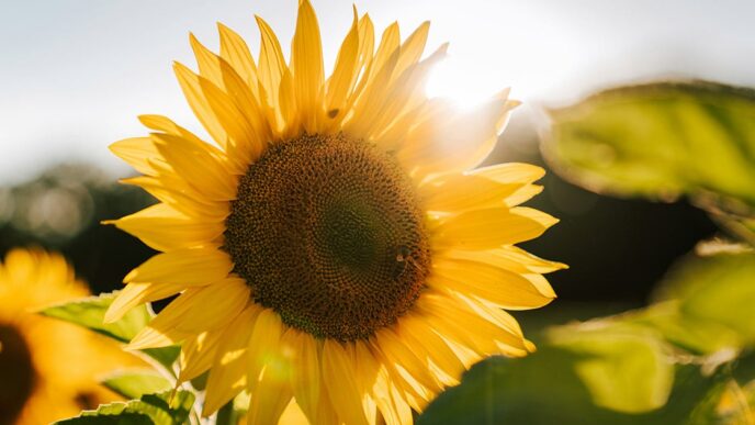 How To Be Happy: 15 Practical Secrets To Happiness