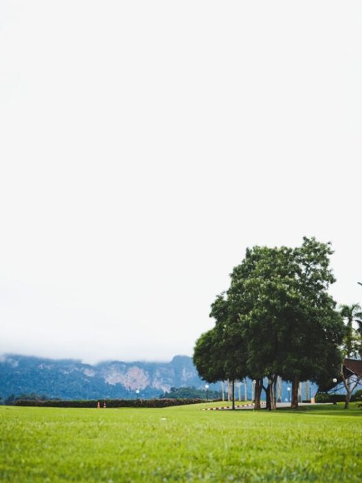 Playing Golf In Thailand As A Tourist
