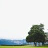Playing Golf In Thailand As A Tourist