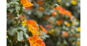 Weekend Favorites: a cute sleep hack + 8 high-dopamine habits
