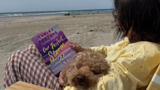 7 Summer Books That Will Make You Forget to Check Your Phone