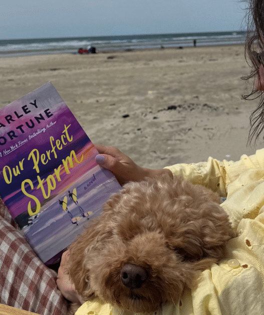 7 Summer Books That Will Make You Forget to Check Your Phone