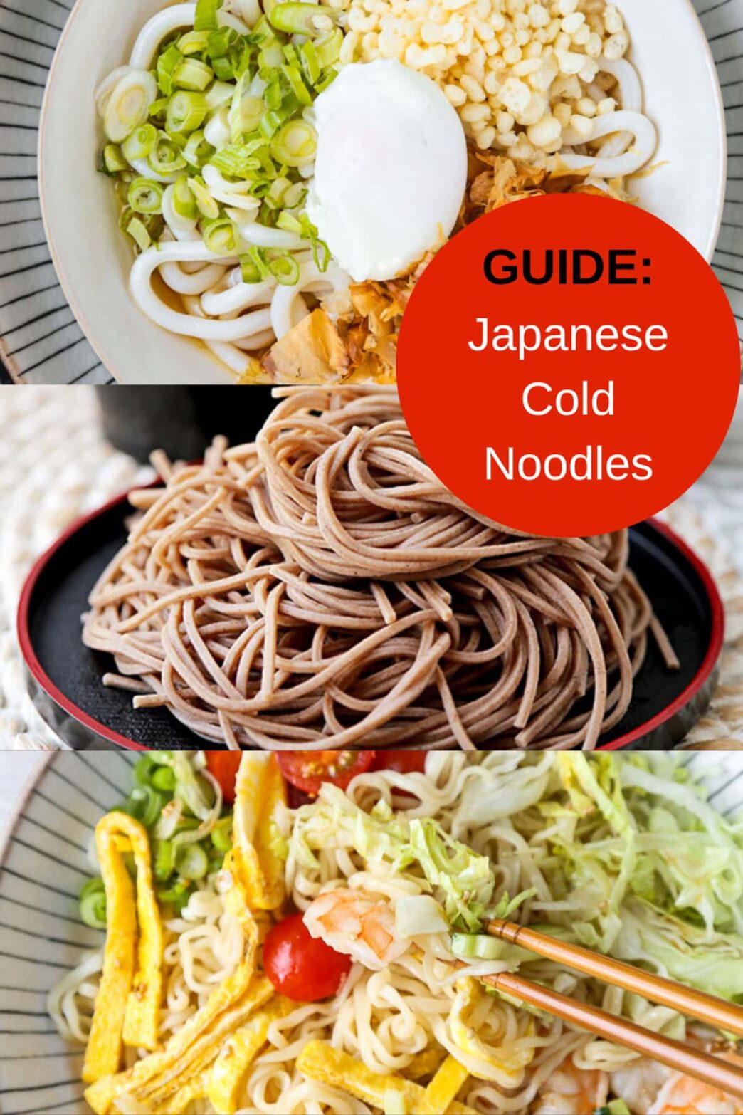 Japanese cold noodles