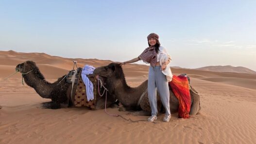 Camel, Merzouga, Morocco, best esim for morocco