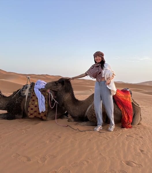 Camel, Merzouga, Morocco, best esim for morocco