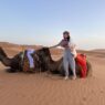 Camel, Merzouga, Morocco, best esim for morocco