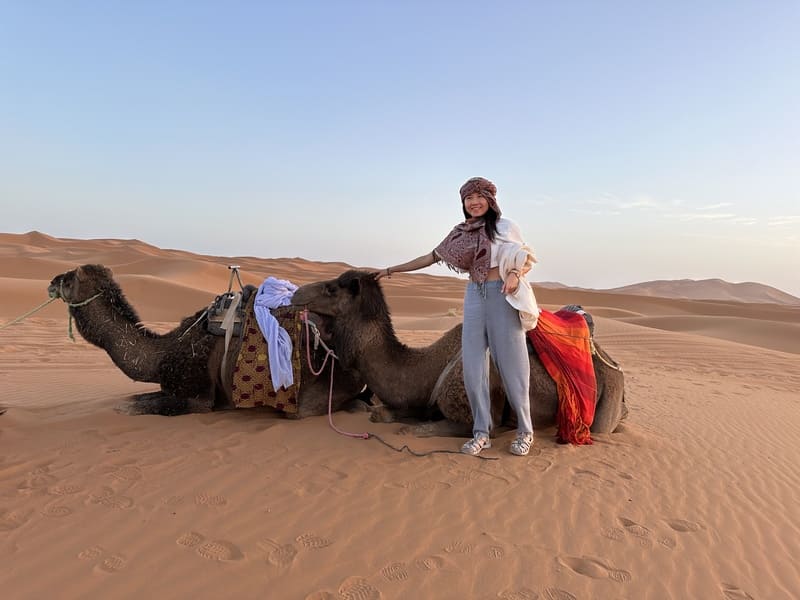 Camel, Merzouga, Morocco, best esim for morocco