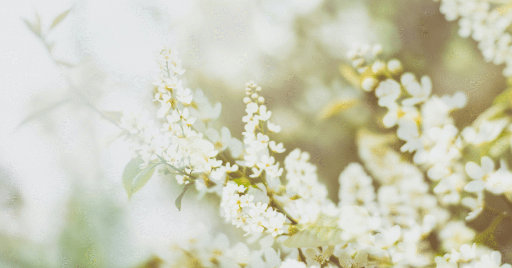 7 Restful Practices to Help You Stress Less