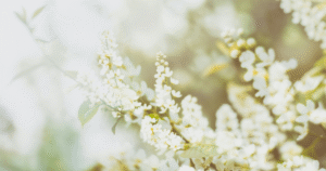 7 Restful Practices to Help You Stress Less