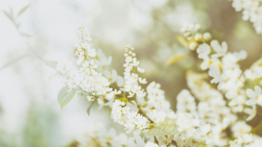 7 Restful Practices to Help You Stress Less