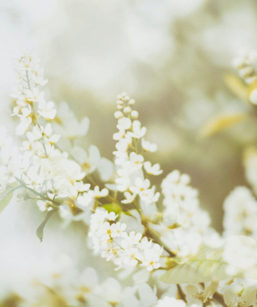 7 Restful Practices to Help You Stress Less