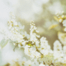 7 Restful Practices to Help You Stress Less